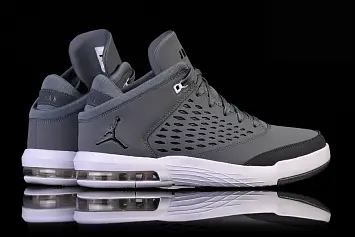 Nike Air Jordan Flight Origin 4 Wolf  - 2