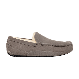 UGG Ascot Slipper Grey