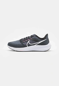 Фото № 1 с приближением к товару «‎AIR  PEGASUS »