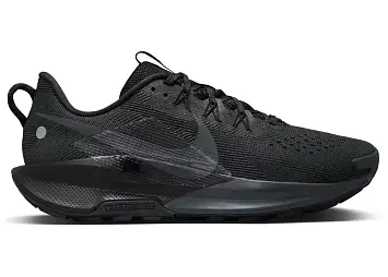 Nike Pegasus Trail 5 (DV3864-002)