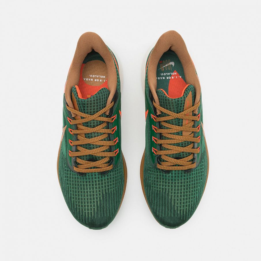 Фото № 4 с приближением к товару «‎Nike Pegasus 39 A.i.r. Hola Lou»
