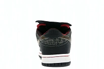 Фото № 4 с приближением к товару «‎Nike SB Dunk Low SBTG»