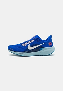 Фото № 1 с приближением к товару «‎AIR ZOOM PEGASUS 41»