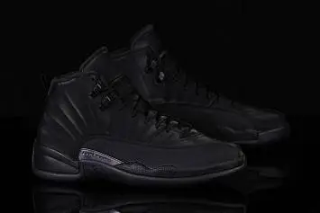 Nike Air Jordan 12 Retro Winterized  - 4