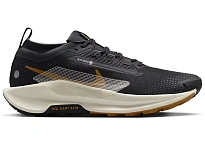 Фото № 1 с приближением к товару «‎Nike Pegasus Trail 5 Gore-Tex»