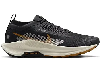 Nike Pegasus Trail 5 Gore-Tex (FQ0908-007)