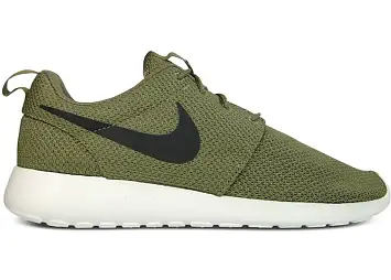 Nike Roshe Run Iguana (511881-201-633054-201)