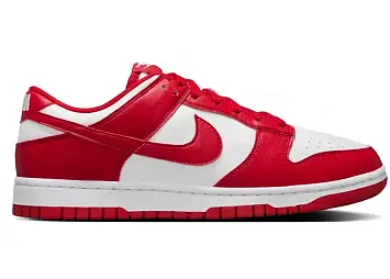 Nike Dunk Low Next Nature