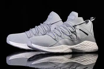Nike Air Jordan Formula 23 Wolf  - 3