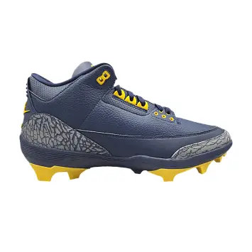 Air Jordan 3 Force Savage Michigan PE - 1