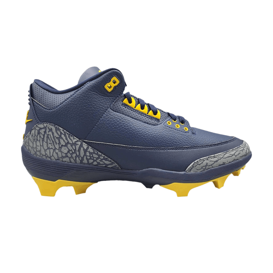Фото № 1 с приближением к товару «‎Air Jordan 3 Force Savage Michigan PE»