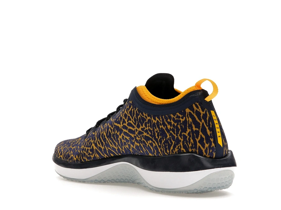 Фото № 4 с приближением к товару «‎Jordan Trainer 1 Low Michigan»