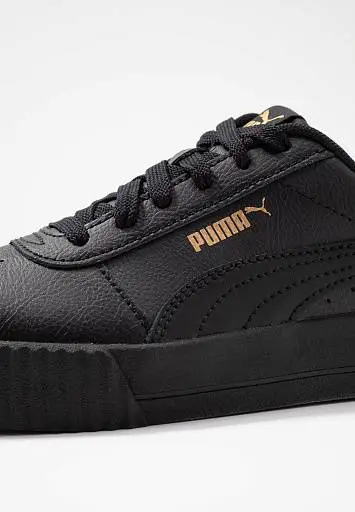 Puma Carina  - 3