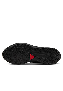 Фото № 2 с приближением к товару «‎Nike W Pegasus 39 Shield»