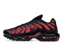 Фото № 4 с приближением к товару «‎Nike Air Max Plus Bred Reflective»