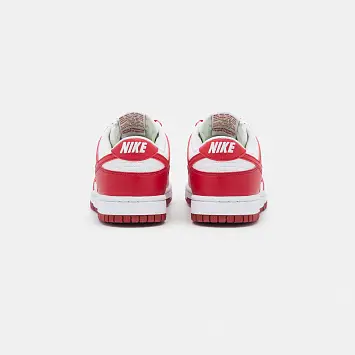 Nike Dunk Next Nature  - 3