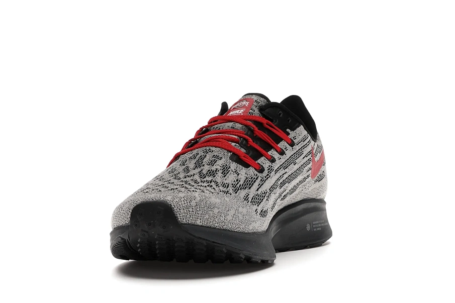 Фото № 3 с приближением к товару «‎Nike Air Zoom Pegasus 36 Ohio State»