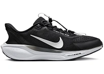 Фото № 1 с приближением к товару «‎Nike Air Zoom Pegasus 41 EasyOn»