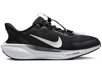 Nike Air Zoom Pegasus 41 EasyOn (FQ7837-002)
