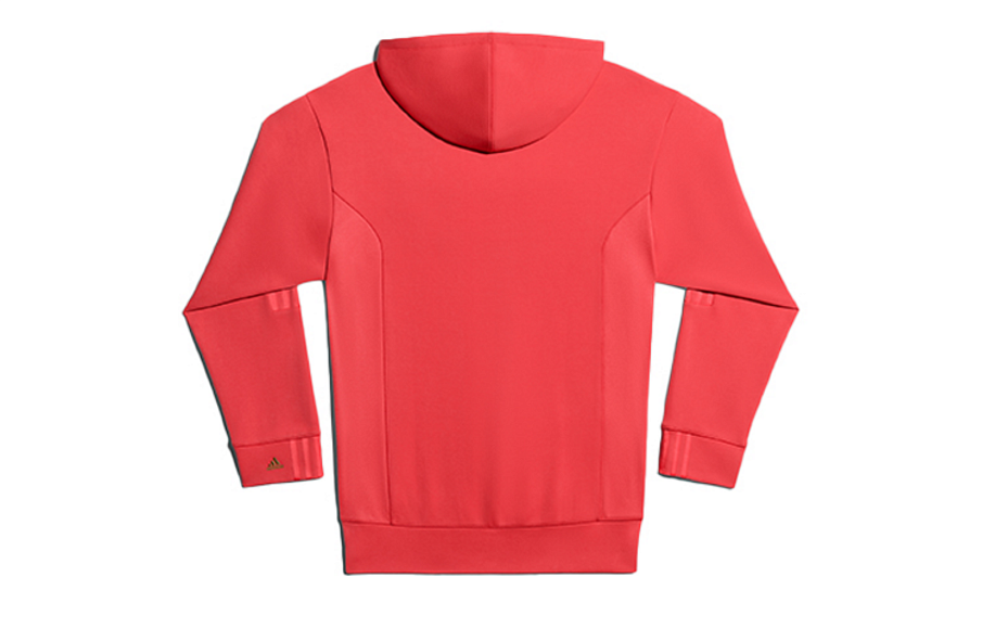 Фото № 2 с приближением к товару «‎adidas originals x IVY PARK Hoodie »