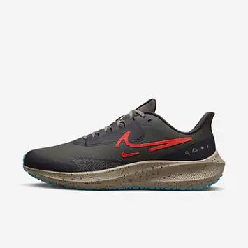 Nike Air Zoom Pegasus 39 Shield (DO7625-200) - 1