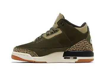 Air Jordan 3 Retro GS Family Affair - 4