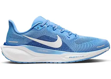 Nike Air Zoom Pegasus 41 (FZ5141-400)