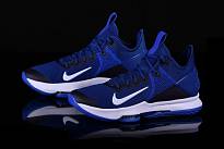 Фото № 2 с приближением к товару «‎Nike Lebron Witness IV Team»