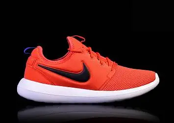 Nike Roshe Two Max  - 1