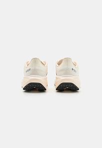 Фото № 3 с приближением к товару «‎AIR PEGASUS 41 GTX»