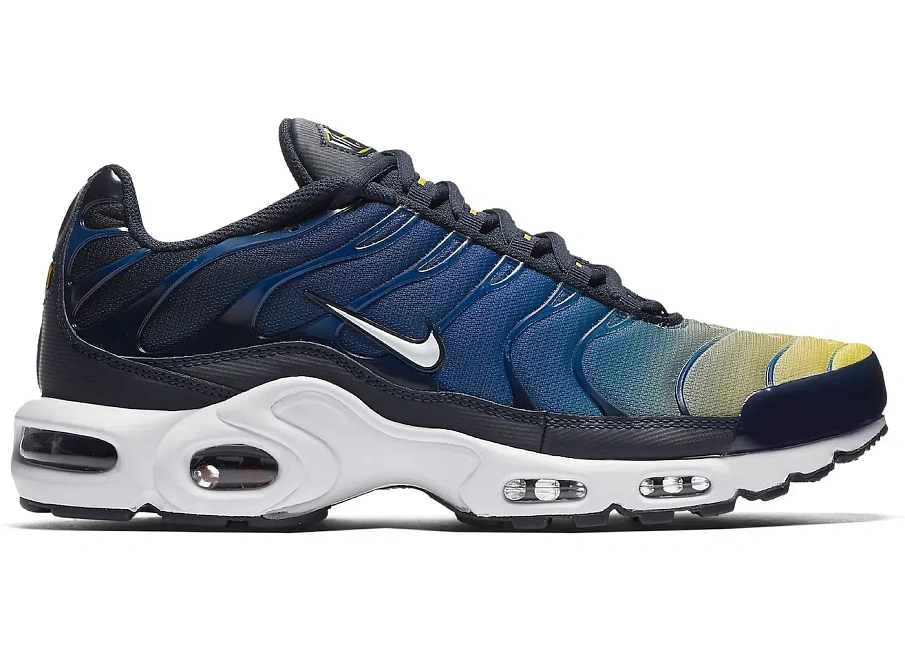 Фото № 1 с приближением к товару «‎Nike Air Max Plus Gradient Pack Obsidian»