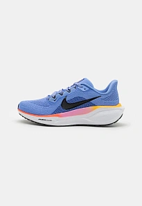 Фото № 1 с приближением к товару «‎AIR ZOOM PEGASUS 41»