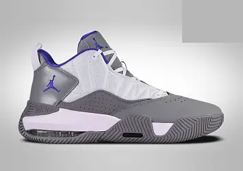 Nike Air Jordan Stay Loyal Wolf (DB2884-101) - 1