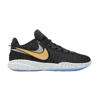Фото № 1 с приближением к товару «‎Nike LeBron 20 Fab 5 (DJ5423-003)»