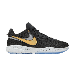 Nike LeBron 20 Fab 5 (DJ5423-003)