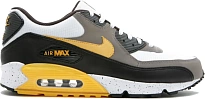 Фото № 1 с приближением к товару «‎Nike Air Max 90 Livestrong»