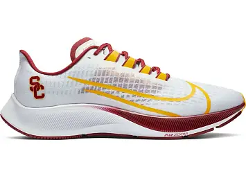 Nike Air Zoom Pegasus 37 (CZ5396-100)