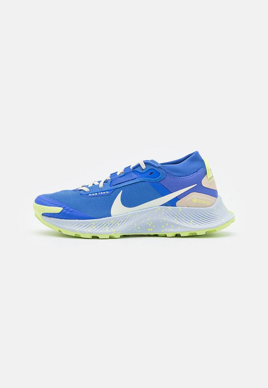 Фото № 1 с приближением к товару «‎Nike Pegasus Trail 3 Gtx»