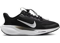 Фото № 1 с приближением к товару «‎Nike Air Zoom Pegasus 41 EasyOn»