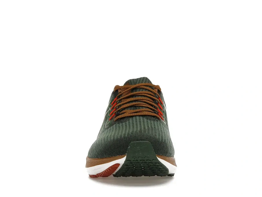 Фото № 2 с приближением к товару «‎Nike Air Zoom Pegasus 39 A.I.R. Hola Lou»