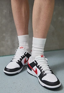 Фото № 1 с приближением к товару «‎DUNK LOW RETRO SC»