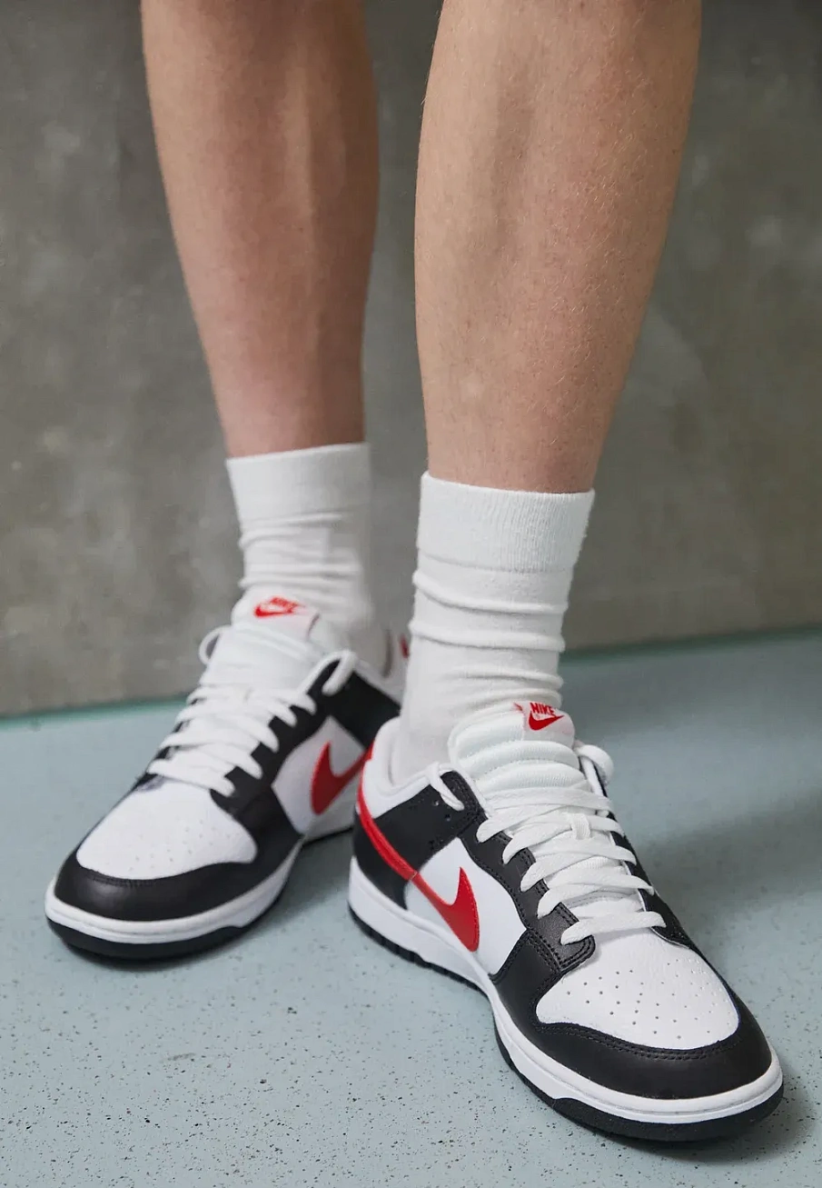 Фото № 1 с приближением к товару «‎DUNK LOW RETRO SC»