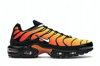 Фото № 1 с приближением к товару «‎Nike Air Max Plus Tiger»