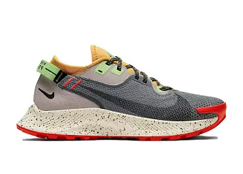 Nike Pegasus Trail 2 Gore-Tex Smoke Grey Bucktan 