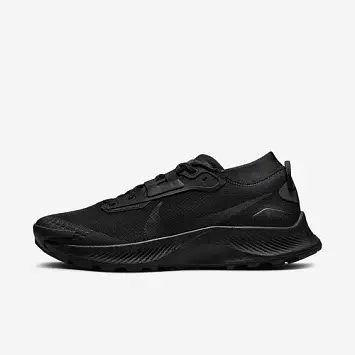 Nike Pegasus Trail 3 Gtx - 1