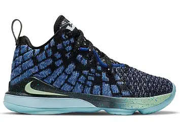 Nike LeBron 17 (BQ5595-407)