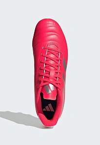 Фото № 3 с приближением к товару «‎KAKARI SOFT GROUND RUGBY»