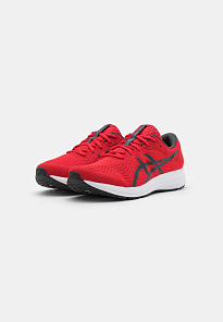 Фото № 1 с приближением к товару «‎Asics Patriot 12»