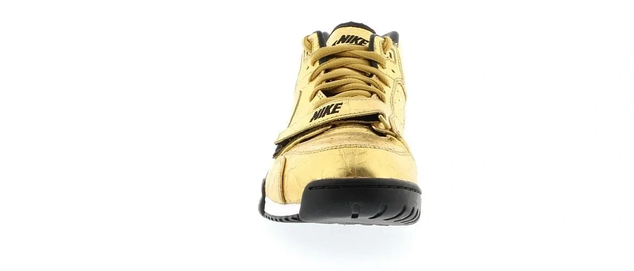 Фото № 2 с приближением к товару «‎Nike Air Trainer 1 Super Bowl 50»