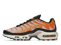 Фото № 3 с приближением к товару «‎Nike Air Max Plus Sherbert »